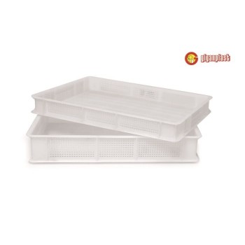 CESTA SOVRAPP.GIGAN.FORI...