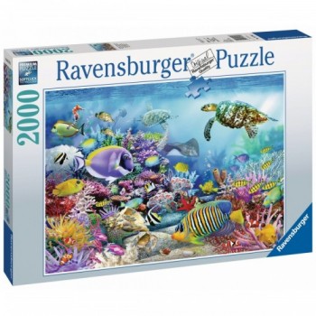 Ravensburger 4005556167043...