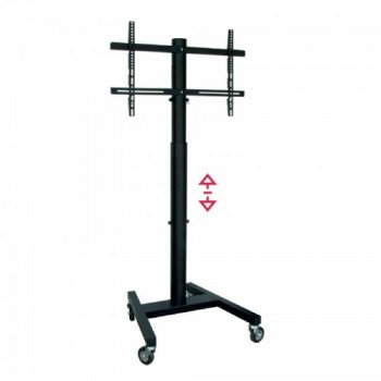 OMB Professional Spring...