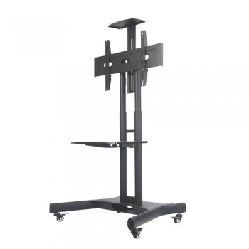 Newstar Mobiletto portatile... 2