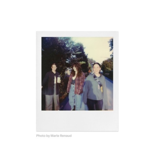 Polaroid Color 600 Film pellicola per...