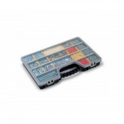 Terry 1000624 scatola di conservazione Armadietto portaoggetti Rettangolare Blu, Trasparente