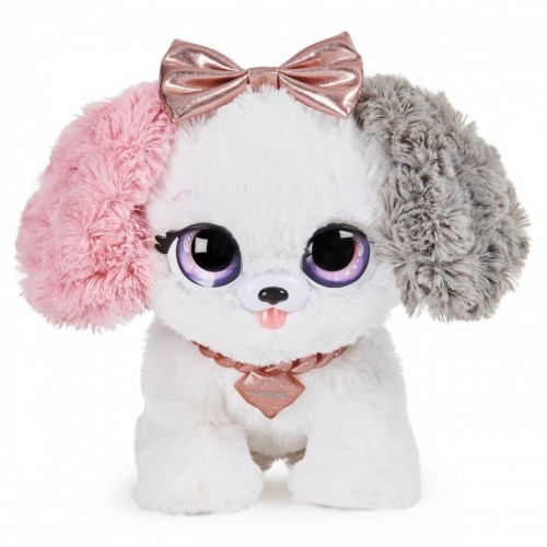 Present Pets Cucciolo Fancy
