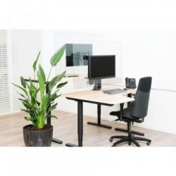 Newstar Schermo trasparente di