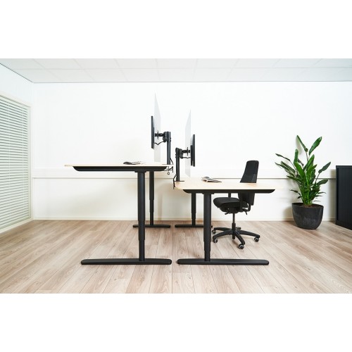 Newstar Schermo trasparente di