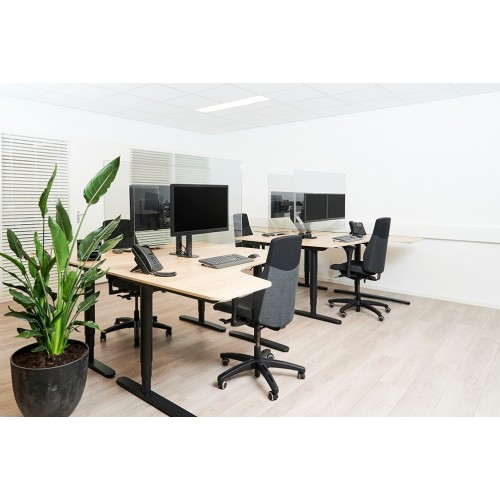 Newstar Schermo trasparente di