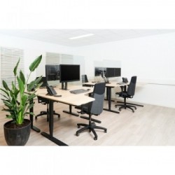 Newstar Schermo trasparente di