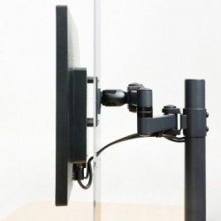 Newstar Schermo trasparente di