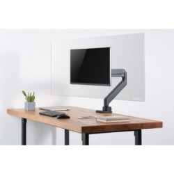 Newstar Schermo trasparente di