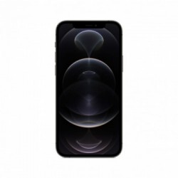 Apple iPhone 12 Pro 256GB Grafite *ESTENSIONE GARANZIA3 3 ANNI IN PIU' in omaggio*