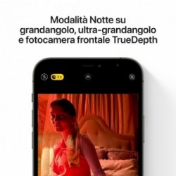 Apple iPhone 12 Pro 256GB Grafite *ESTENSIONE GARANZIA3 3 ANNI IN PIU' in omaggio*
