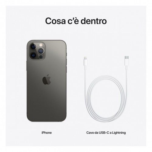 Apple iPhone 12 Pro 256GB Grafite *ESTENSIONE...