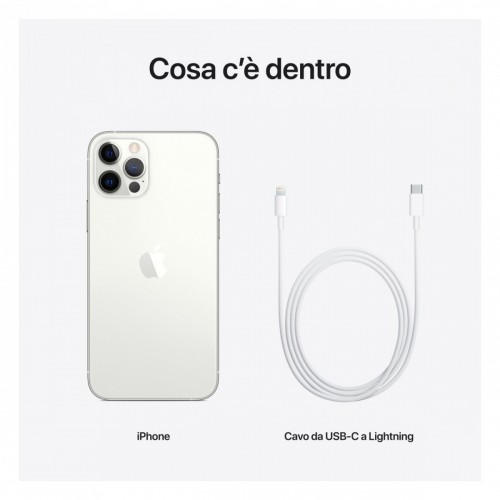 Apple iPhone 12 Pro 256GB Argento *ESTENSIONE...