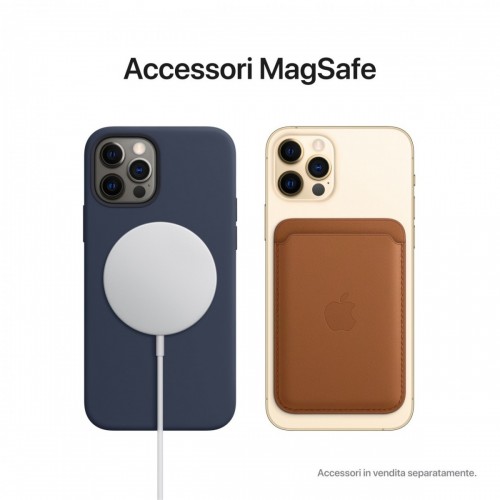 Apple iPhone 12 Pro 256GB Argento *ESTENSIONE...