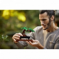 Lego Creator Expert 10281 - Albero Bonsai