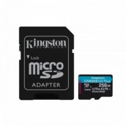 Kingston Technology Canvas Go! Plus memoria flash 256 GB SD UHS-I Classe 10