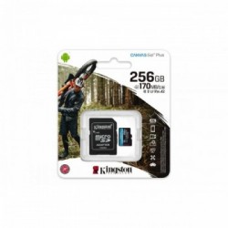 Kingston Technology Canvas Go! Plus memoria flash 256 GB SD UHS-I Classe 10