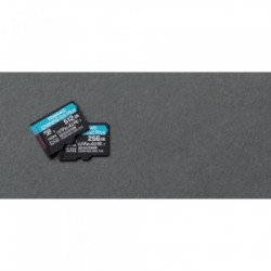 Kingston Technology Canvas Go! Plus memoria flash 256 GB SD UHS-I Classe 10