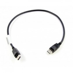 Lenovo 0.5m DisplayPort 0,5 m Nero