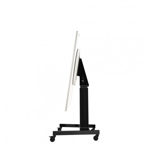 Newstar Carrello elettrico regolabile in...