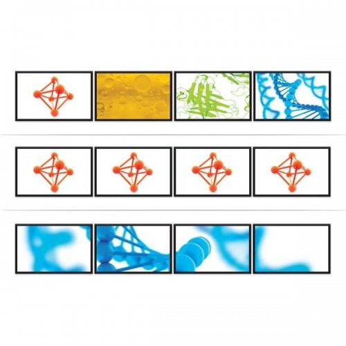 StarTech.com Adattatore Splitter MST Hub -...