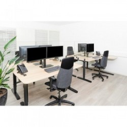 Newstar Schermo trasparente