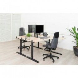 Newstar Schermo trasparente