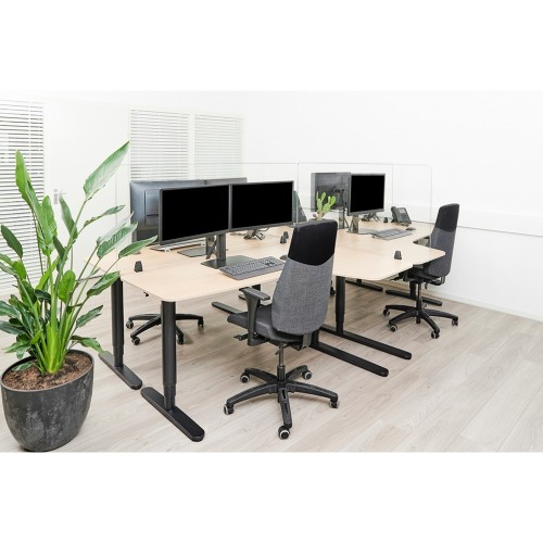 Newstar Schermo trasparente