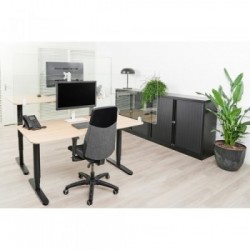 Newstar Schermo trasparente