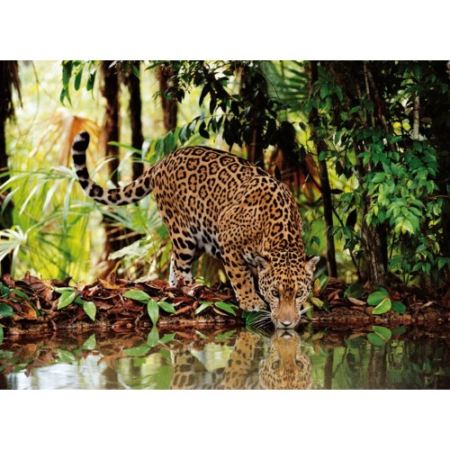 Clementoni Leopard Puzzle 2000 pezzo(i)