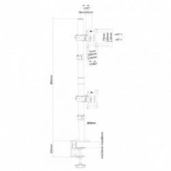 Newstar Supporto da scrivania per monitor