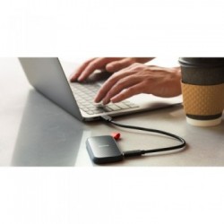 SanDisk Portable 1000 GB Blu