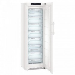 Liebherr GN 4335 - Congelatore Verticale Freestanding, 277 Litri, Classe E, 185 x 60 x 66.5 cm 