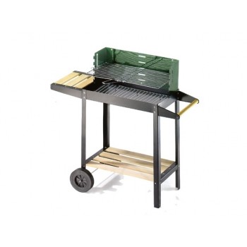 BARBECUE CARBONE 50-25...