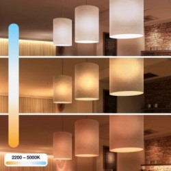 Innr Lighting RB 278 T-2 soluzione di illuminazione intelligente Lampadina intelligente 9 W Bianco ZigBee