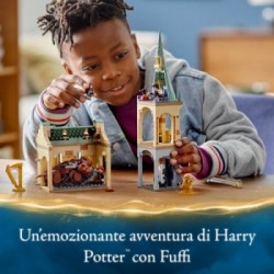 Lego Harry Potter 76387 - Hogwarts™: Incontro con Fuffi