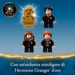Lego Harry Potter 76387 - Hogwarts™: Incontro con Fuffi