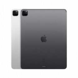 Apple iPad Pro 12.9" con Chip M1 (quinta gen.) Wi-Fi 128GB - Grigio siderale