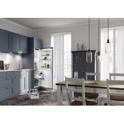 Liebherr IRDe 5121 - Frigorifero Monoporta da Incasso, 286 Litri, Classe E, 178.8 x 57 x 55 cm