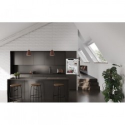 Liebherr IRSf 3901 - Frigorifero Monoporta da Incasso, 117 Litri, Classe F, 87.2 x 54.5 x 54.5 cm