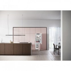 Liebherr ICNe 5133 - Frigorifero Combinato da Incasso, Plus NoFrost, 254 Litri, Classe E, 177 x 55.9 x 54.6 cm