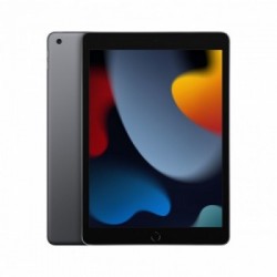 Apple iPad 10.2-inch Wi-Fi 256GB - Grigio siderale