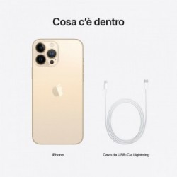 Apple iPhone 13 Pro Max 256GB Oro *ESTENSIONE GARANZIA3 3 ANNI IN PIU' in omaggio*