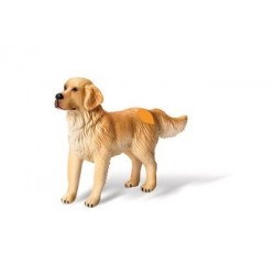 Ravensburger tiptoi: Golden Retriever, dog