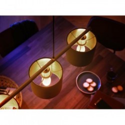 Philips Hue White Lampadina singola E14