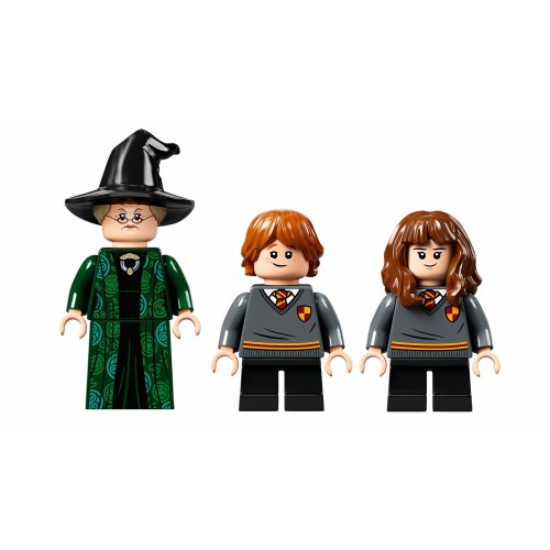 Lego Harry Potter 76382 - Lezione di...