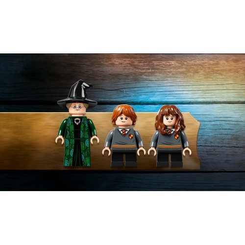 Lego Harry Potter 76382 - Lezione di...