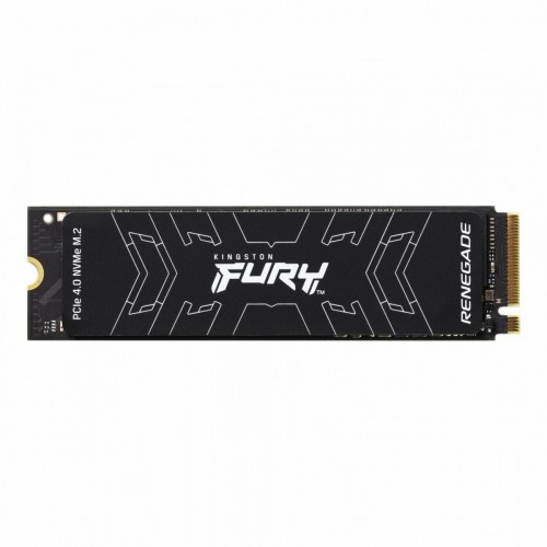 Kingston Technology FURY Renegade M.2 500 GB...