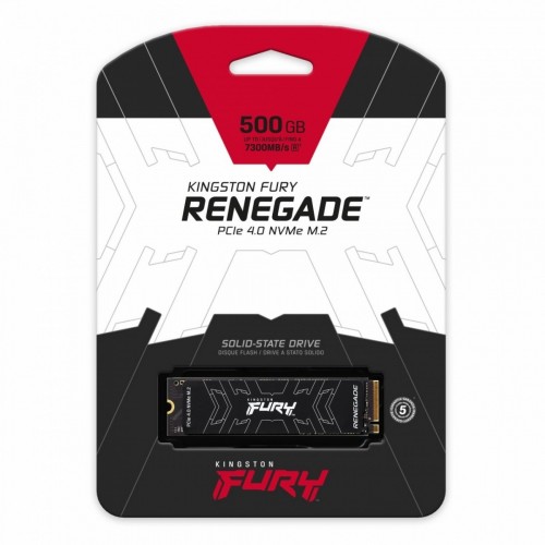 Kingston Technology FURY Renegade M.2 500 GB...