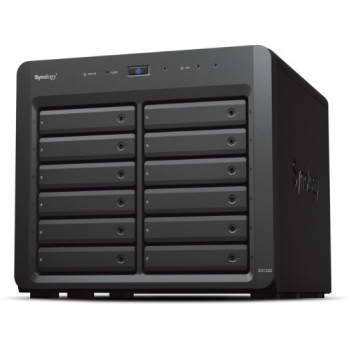 Synology DX1222 contenitore...